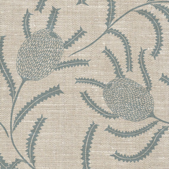 Wallpaper - Sawtooth Banksia