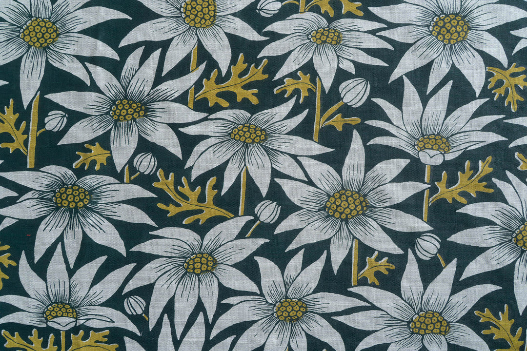 Flannel Flower in Rainforest on Mint Heavyweight