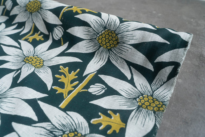 Flannel Flower in Rainforest on Mint Heavyweight