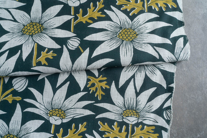 Flannel Flower in Rainforest on Mint Heavyweight