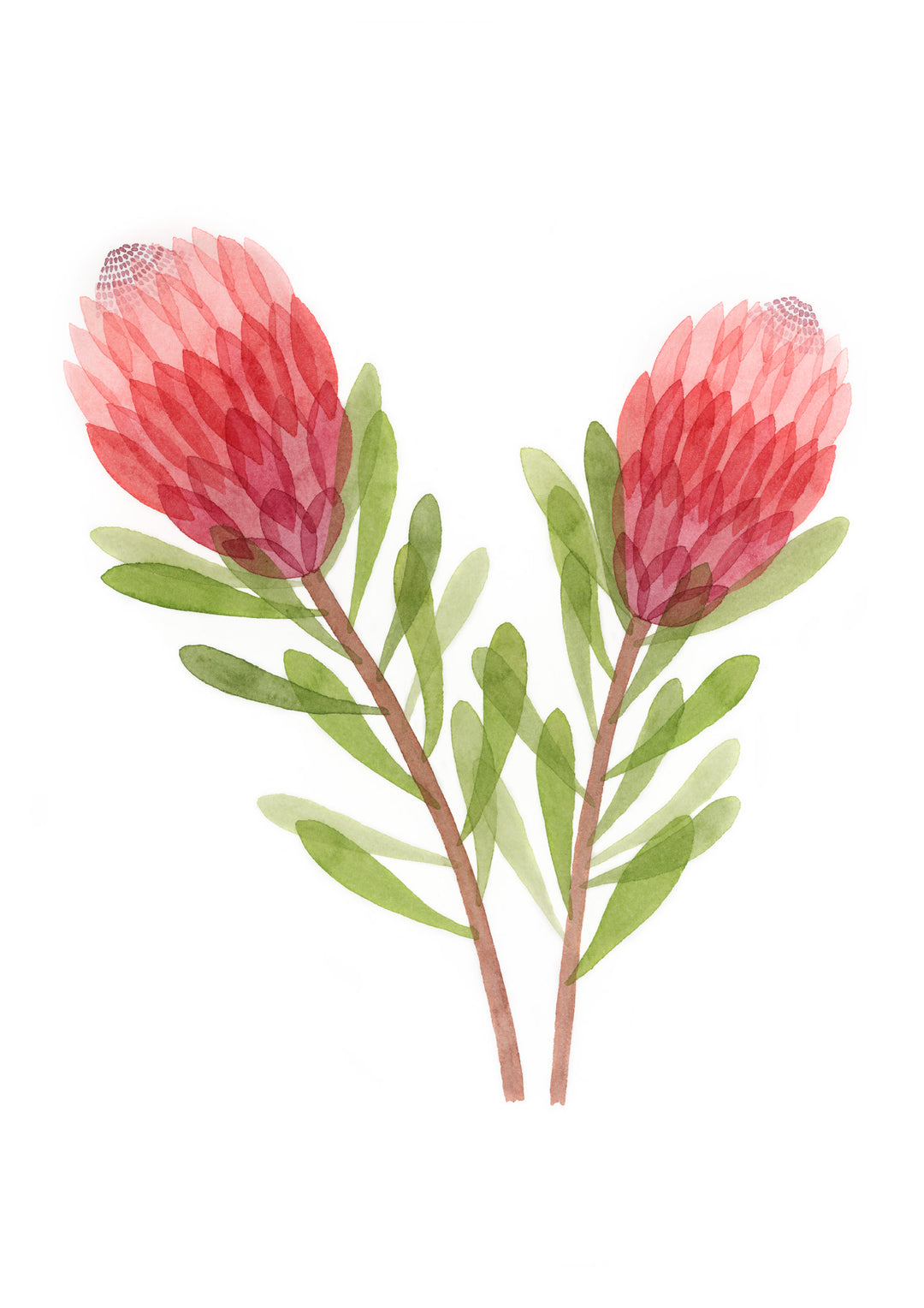 hand screen printed textile – australian made