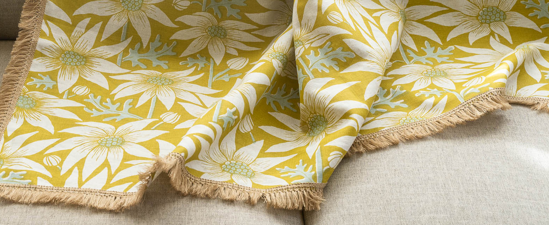 Flannel Flower